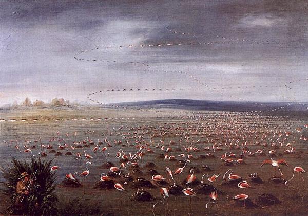 George Catlin Ambush for Flamingoes Norge oil painting art